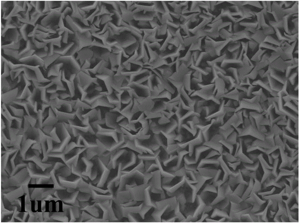 Preparation method of novel ZnO-nanosheet-structure coating