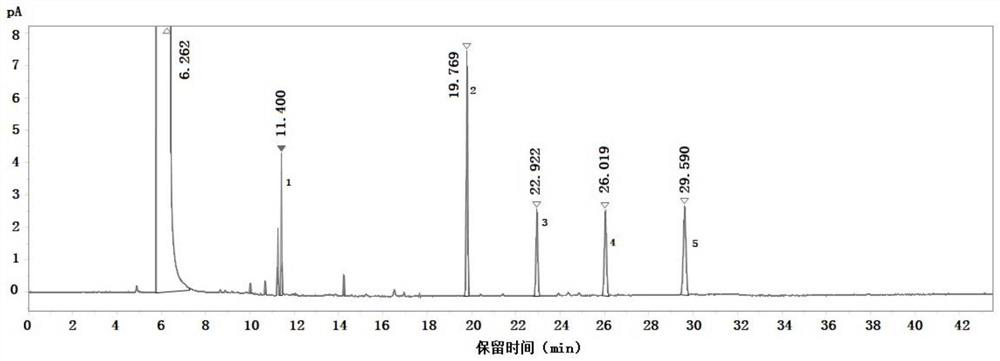 Detection method of p-methoxypropiophenone related substances