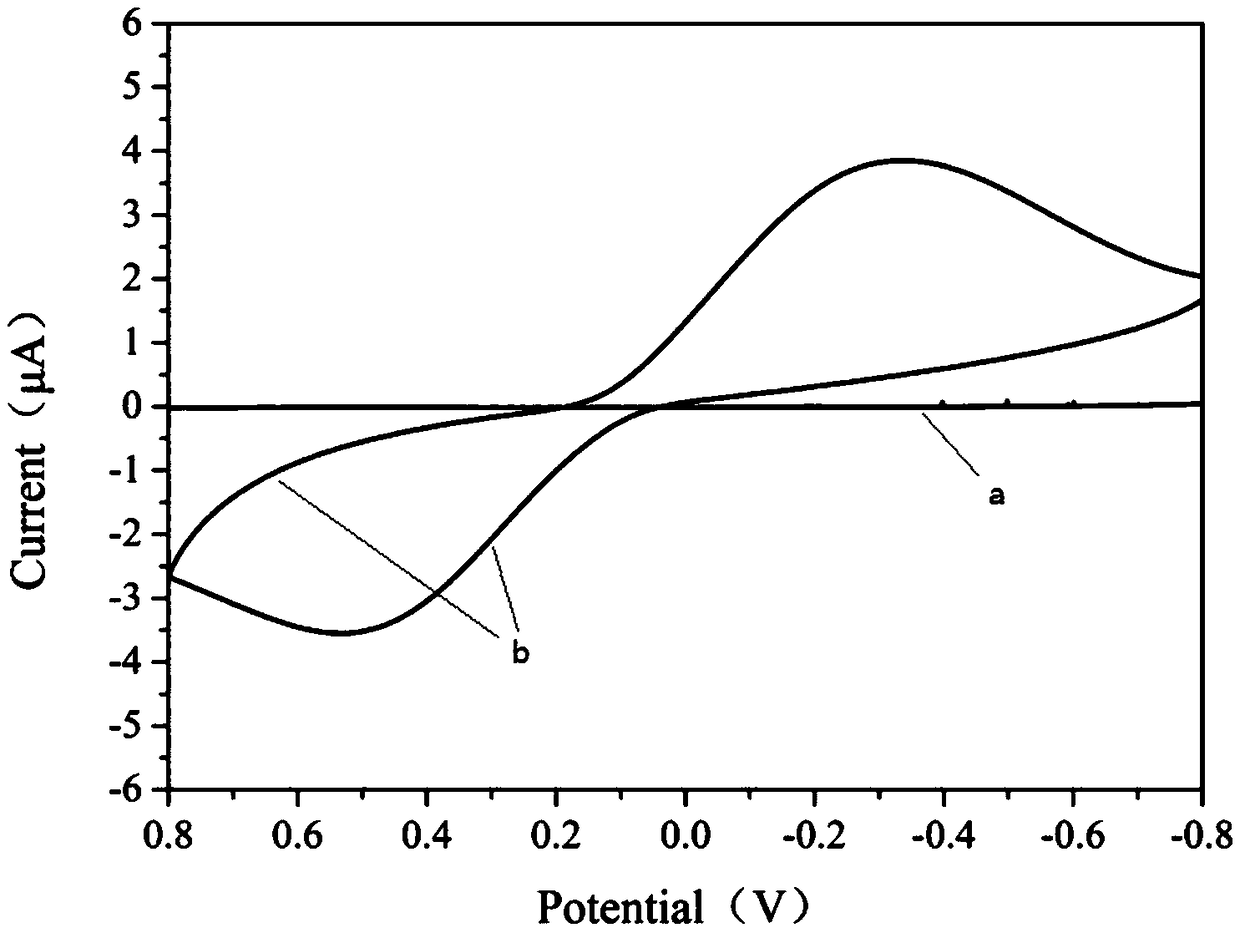 Method for constructing nanocellulose paper-based biosensor