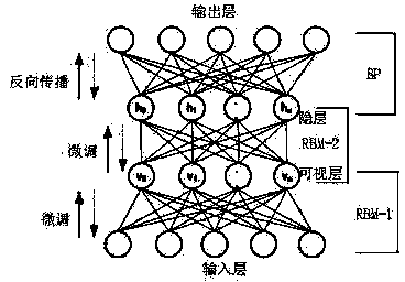 Ecological sound identification method on basis of rapid sparse decomposition and deep learning