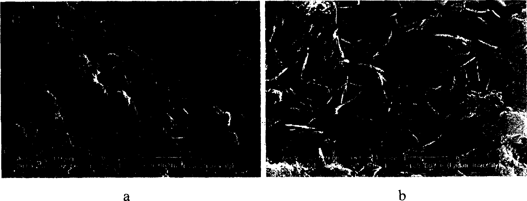 Method for preparing semiconductor nano-material and processing organic-inorganic wastewater synchronously