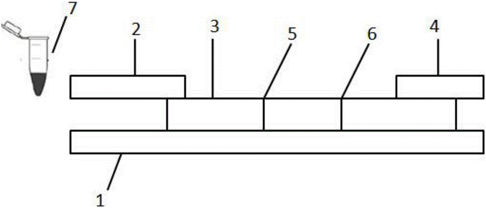 Time-resolved fluorescence immunochromatography reagent used for rapid quantitative detection of CK-MB, and preparation method thereof