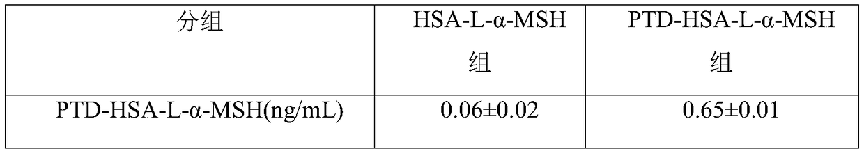 Fusion protein of alpha melanocyte-stimulating hormone and its preparation method and application