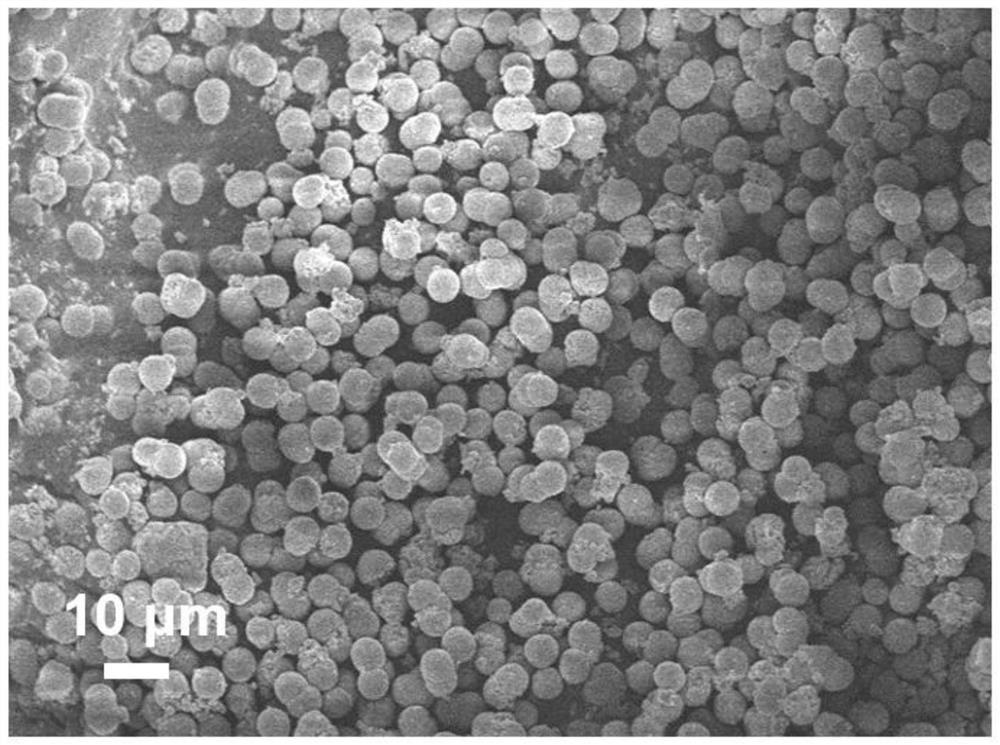 Preparation of concentration gradient magnesium-doped lithium-rich manganese-based oxide positive electrode material and lithium battery application of concentration gradient magnesium-doped lithium-rich manganese-based oxide positive electrode material