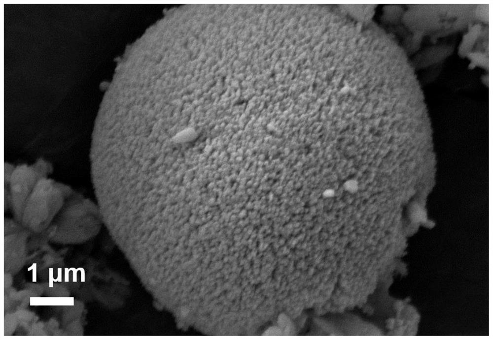 Preparation of concentration gradient magnesium-doped lithium-rich manganese-based oxide positive electrode material and lithium battery application of concentration gradient magnesium-doped lithium-rich manganese-based oxide positive electrode material