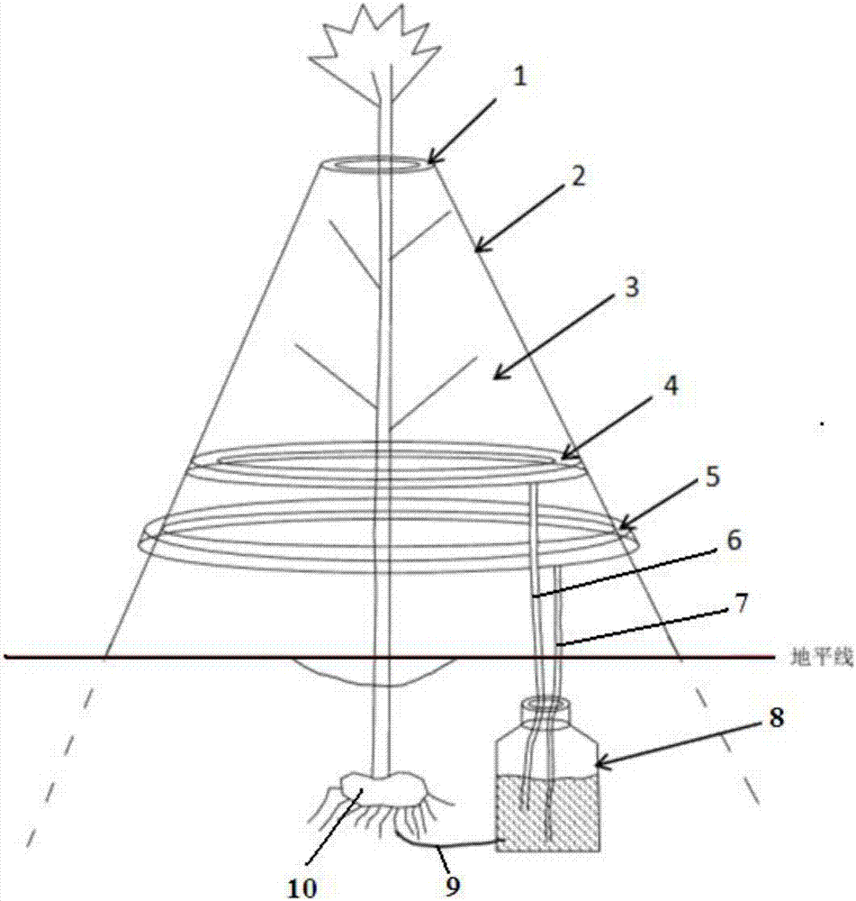 Method and system for supplying water to vegetation by collecting natural condensation water and rain water