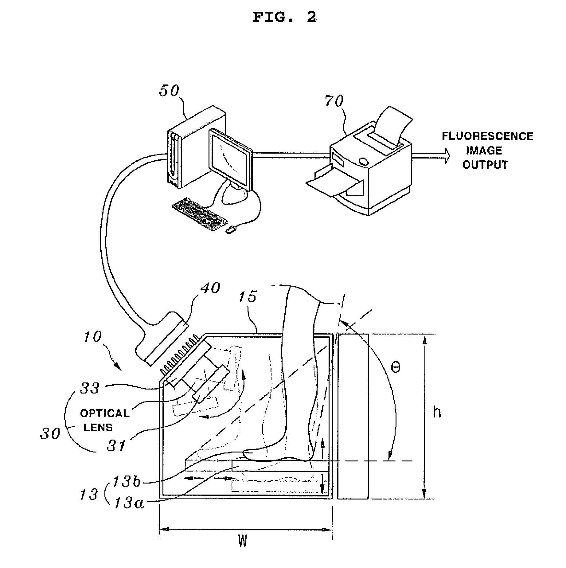 Apparatus for measuring perfusion rate of legs