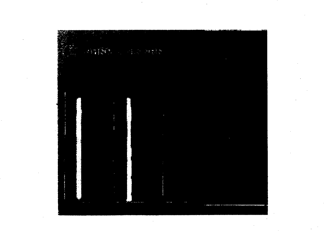 Method and equipment of preparing massive great-specific weight Zr-W-base amorphous alloy