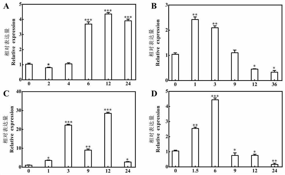 A kind of Du pear salt tolerance gene, protein and recombinant vector and application