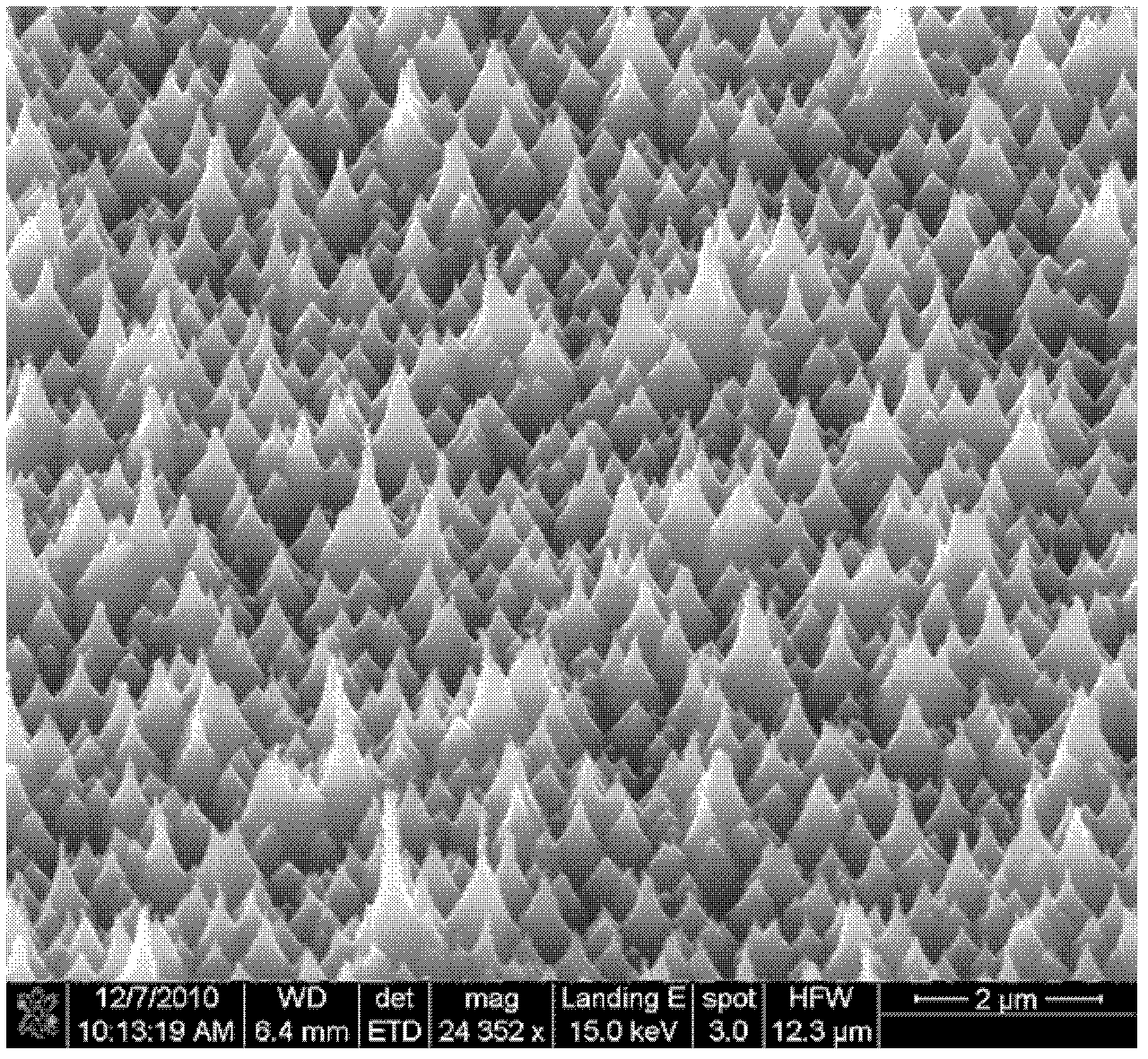 Preparation method of superhydrophilic polydimethylsiloxane film on basis of nano forest template