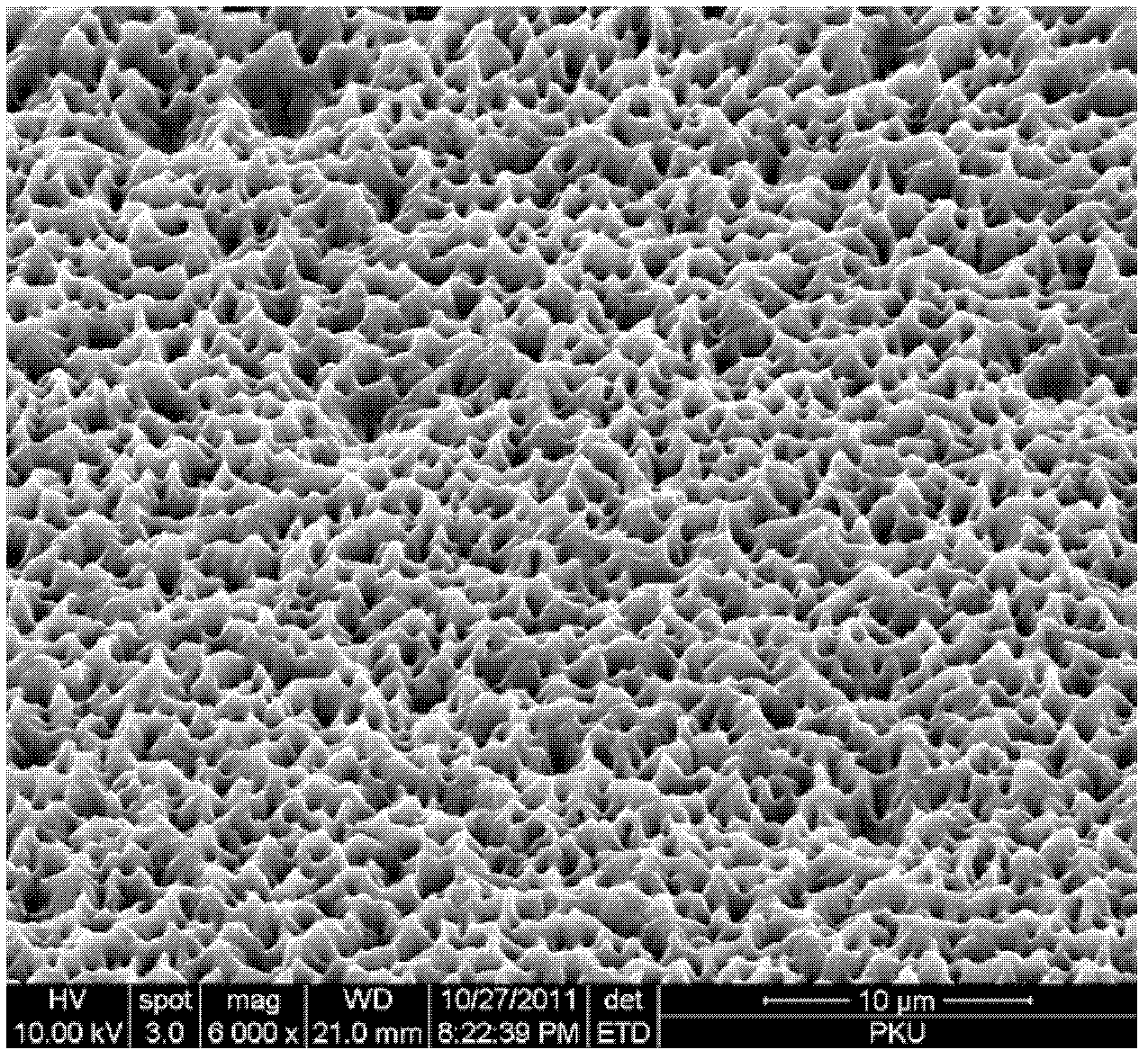 Preparation method of superhydrophilic polydimethylsiloxane film on basis of nano forest template