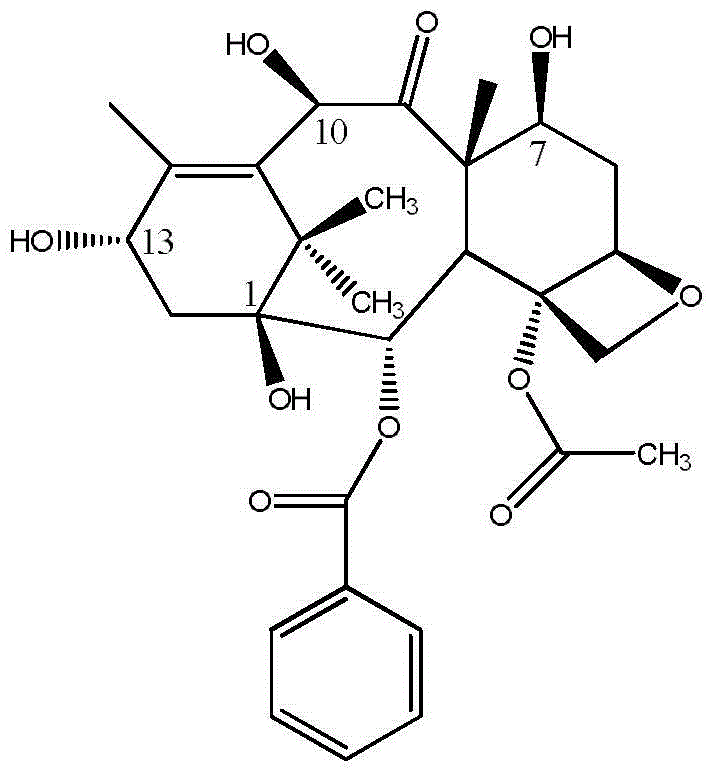 Method for separation and purification of 10-deacetylbaccatin III from branches and leaves of taxus chinensis