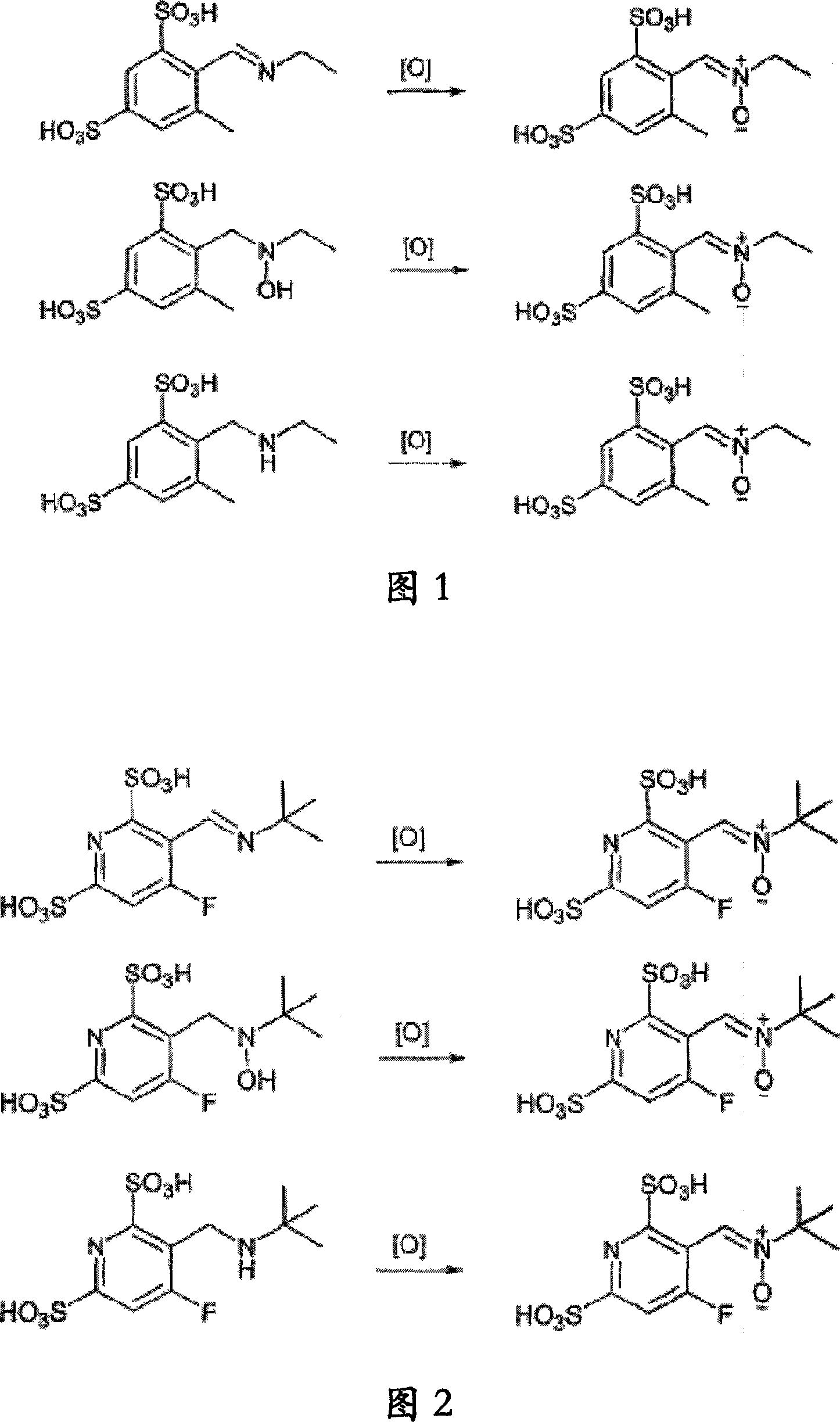 Aryl, heteroaromatic and bicyclic aryl nitrone compounds, prodrugs and pharmaceutical compositions of the same to treat human disorders