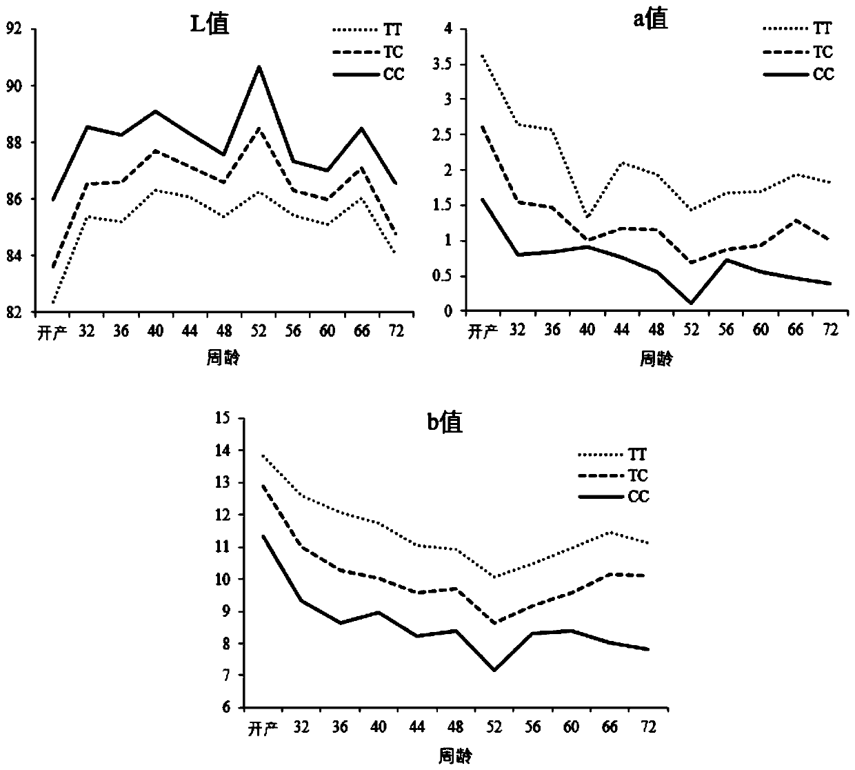 SNP molecular marker related to chicken pink eggshell color depth and application of SNP molecular marker