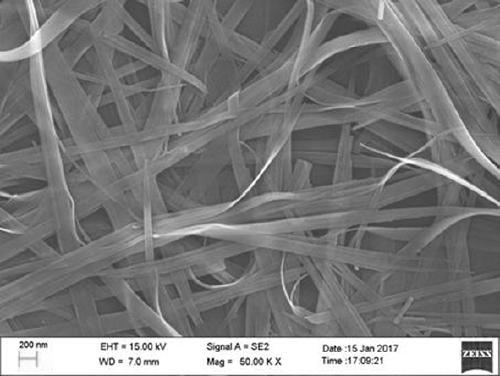 Nickel-cobalt composite hydroxide ultralong nanobelt, nickel-cobalt composite oxide ultralong nanobelt and preparation method thereof