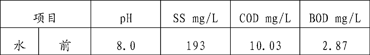 Water purifying agent and preparation method thereof