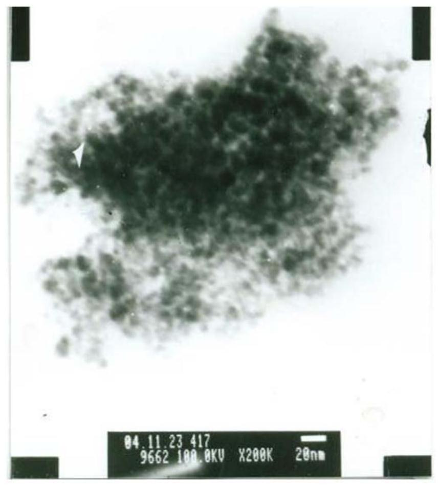 Preparation method of thin composite nano flake paint