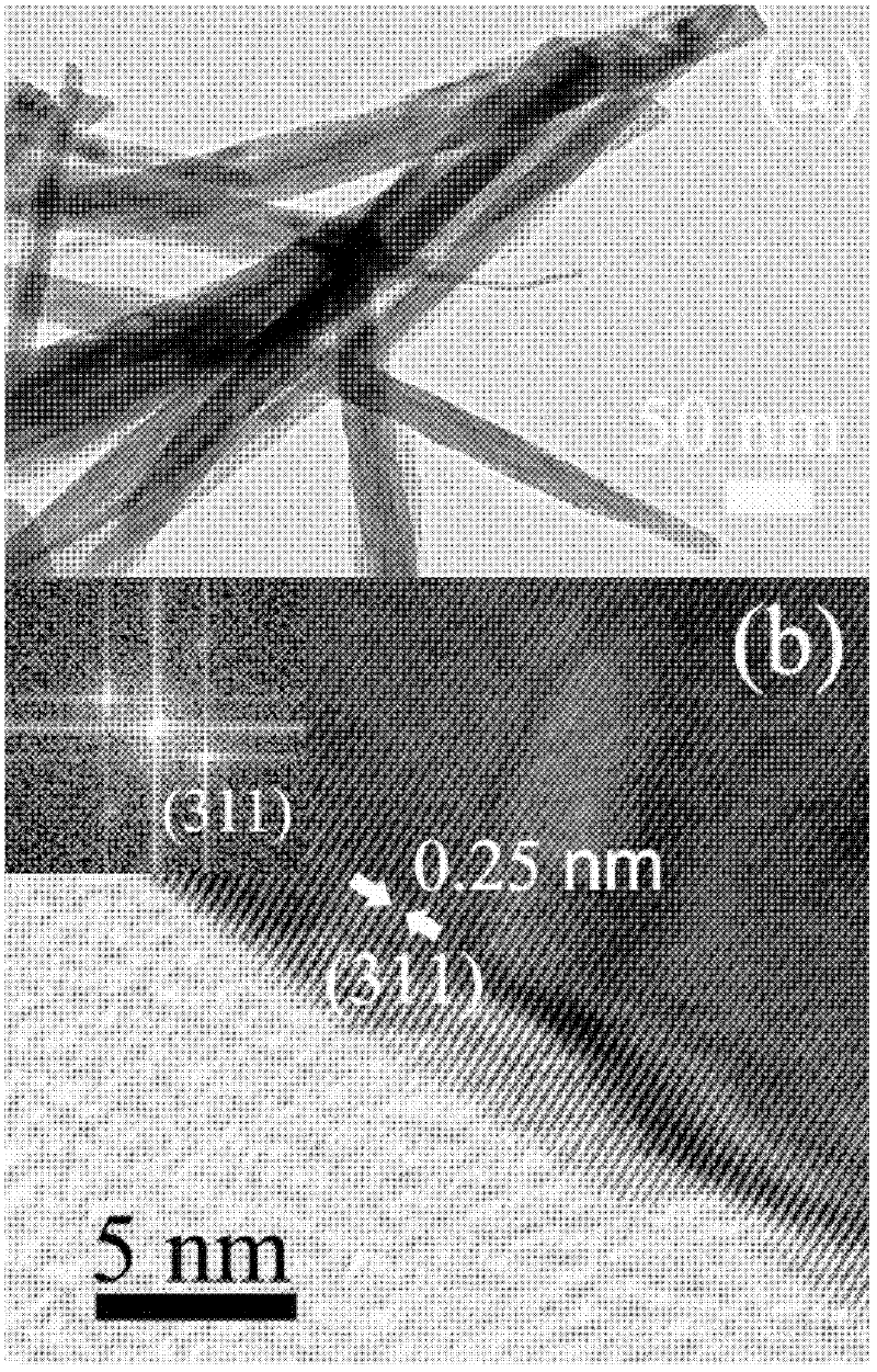 Method for preparing nano-structured Zn2SnO4 on stainless steel wires