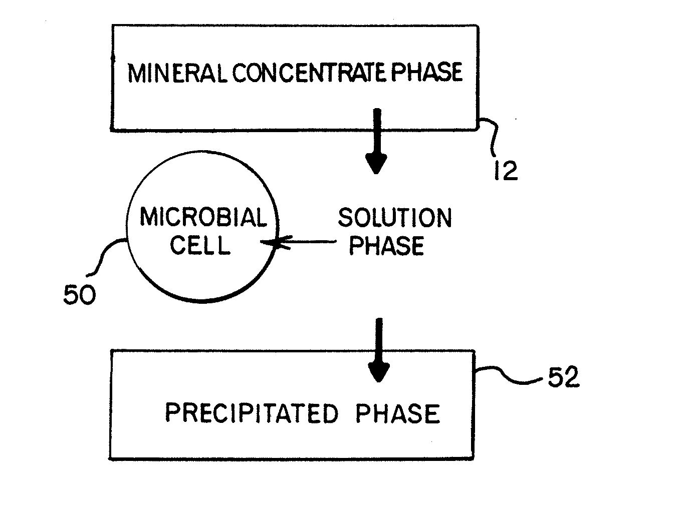 Metal Recovery from a Tank Bioleaching Solution with the Use of Coated Magnetic Particles