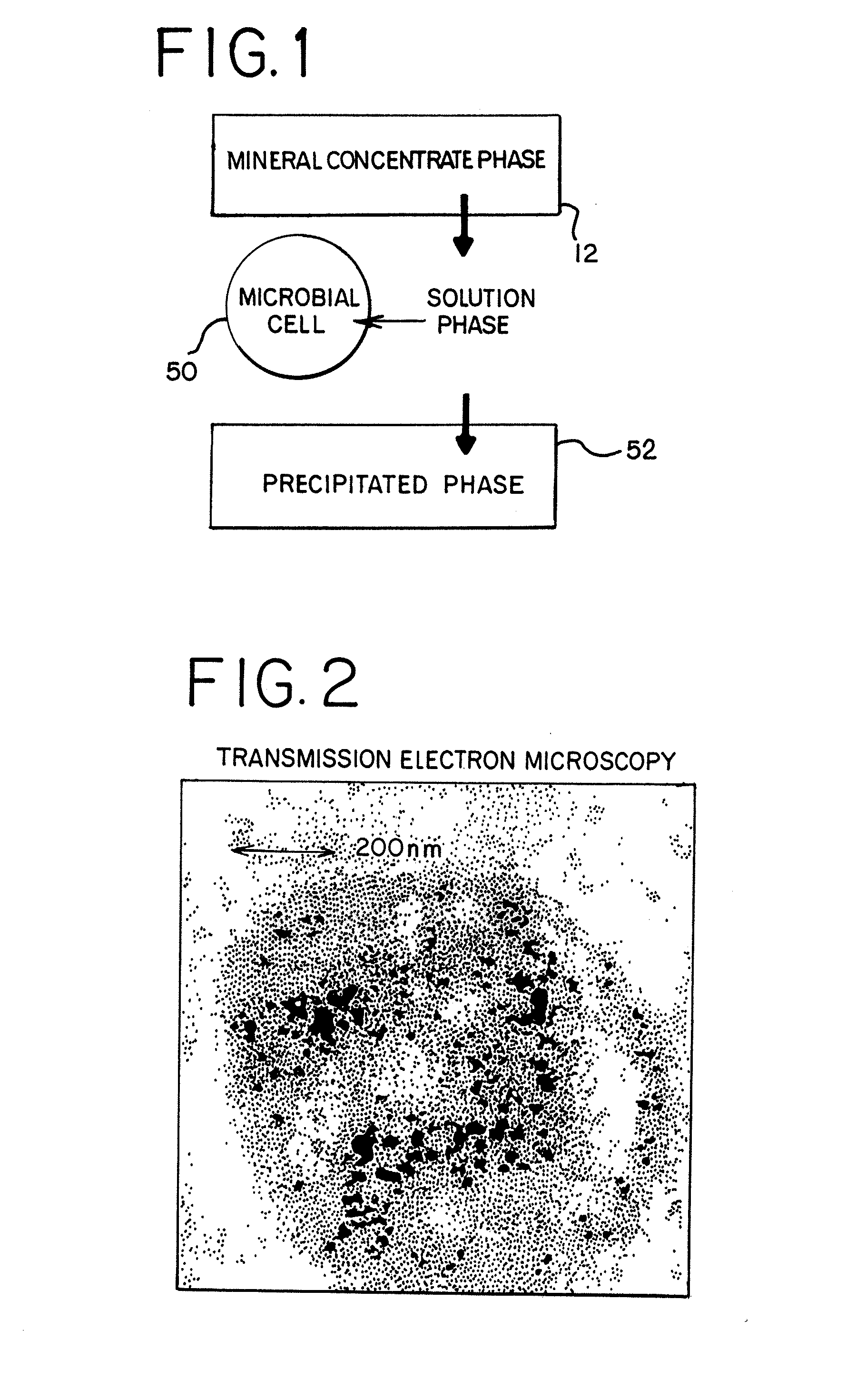 Metal Recovery from a Tank Bioleaching Solution with the Use of Coated Magnetic Particles