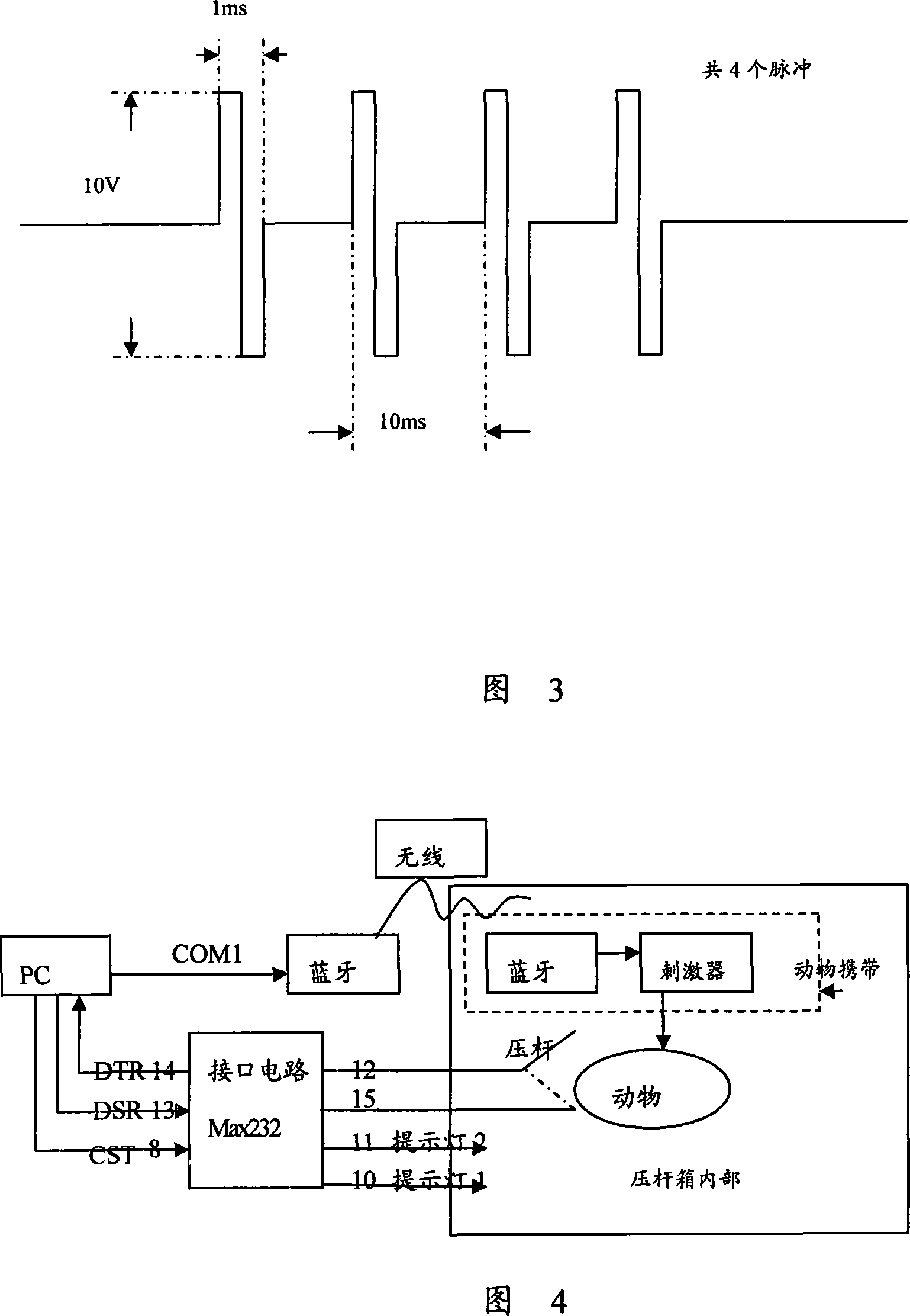 BCI animal experiment system