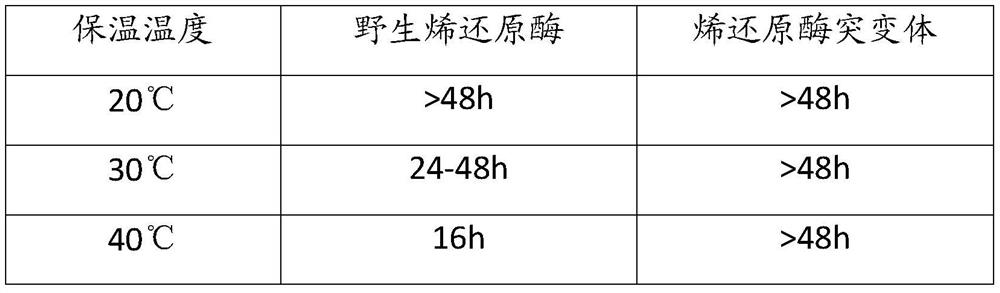 A kind of ene reductase mutant and its coding gene and application