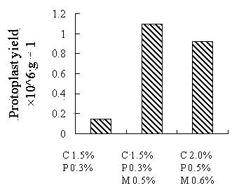 Separation and purification method for Salvia Miltiorrhiza protoplast