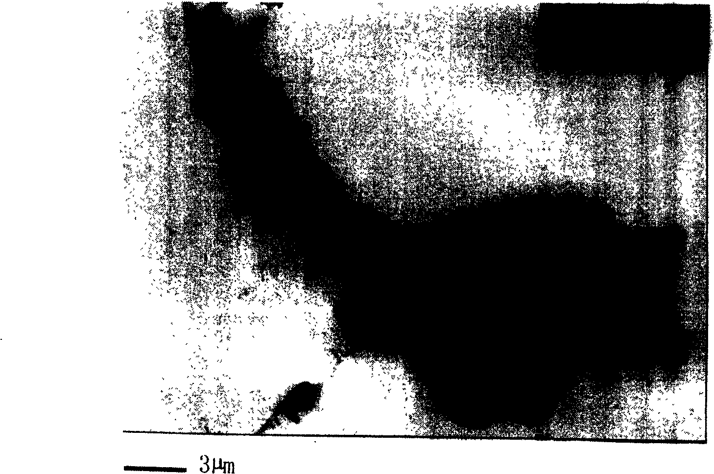 Assemble preparation method of DNA guided nano granule vertical type wire