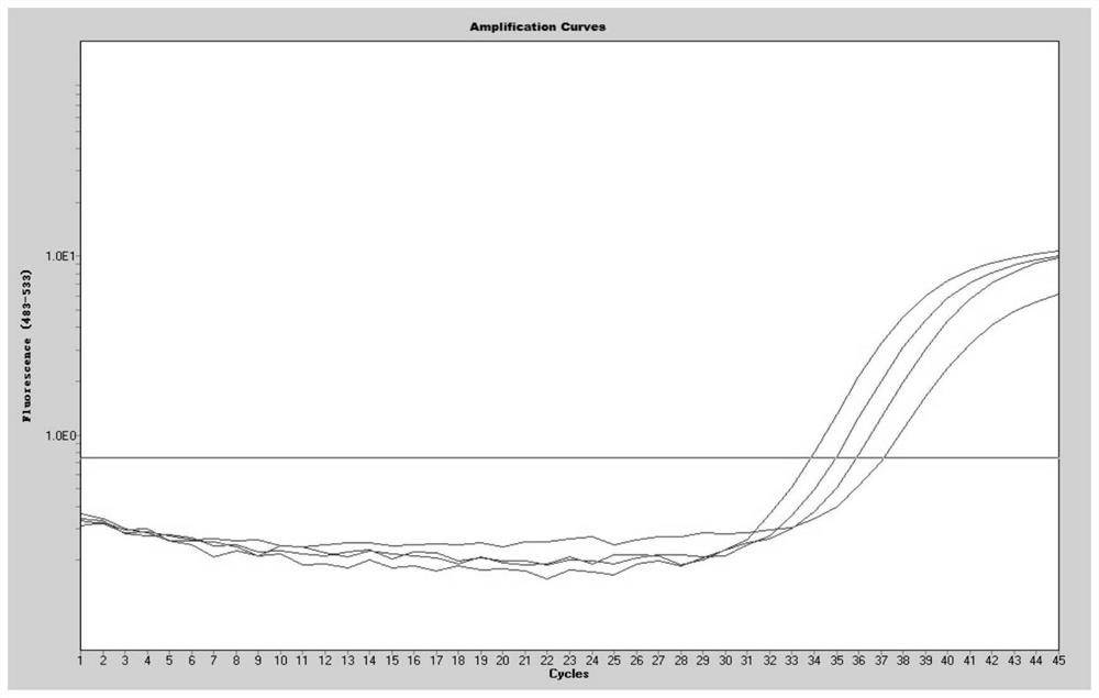 Kit and method for simultaneously detecting herpes simplex virus, Carbosarcoma associated herpes virus, JC virus and EB virus