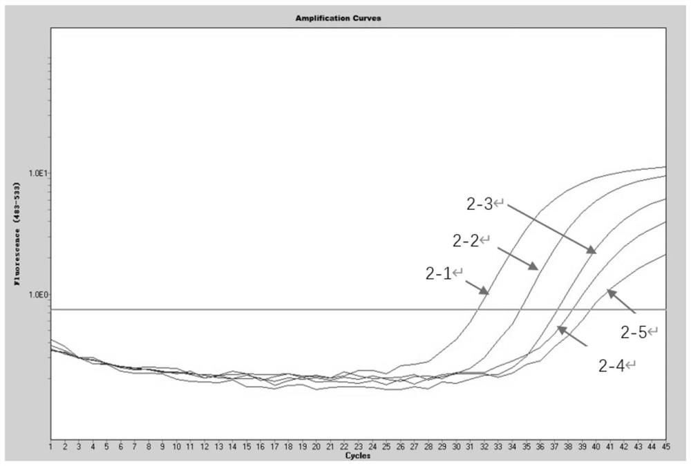 Kit and method for simultaneously detecting herpes simplex virus, Carbosarcoma associated herpes virus, JC virus and EB virus