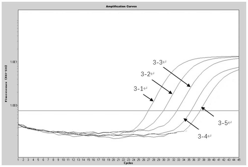 Kit and method for simultaneously detecting herpes simplex virus, Carbosarcoma associated herpes virus, JC virus and EB virus