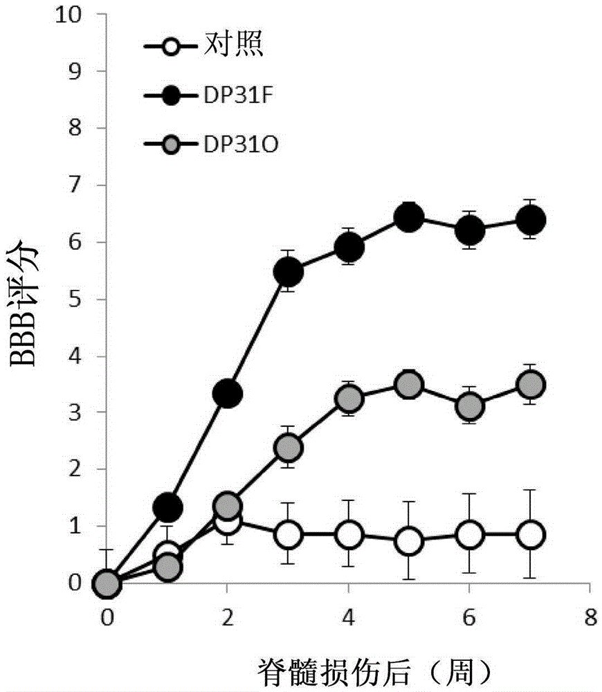 Method for producing graft material for treating nerve damage