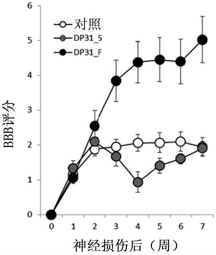 Method for producing graft material for treating nerve damage