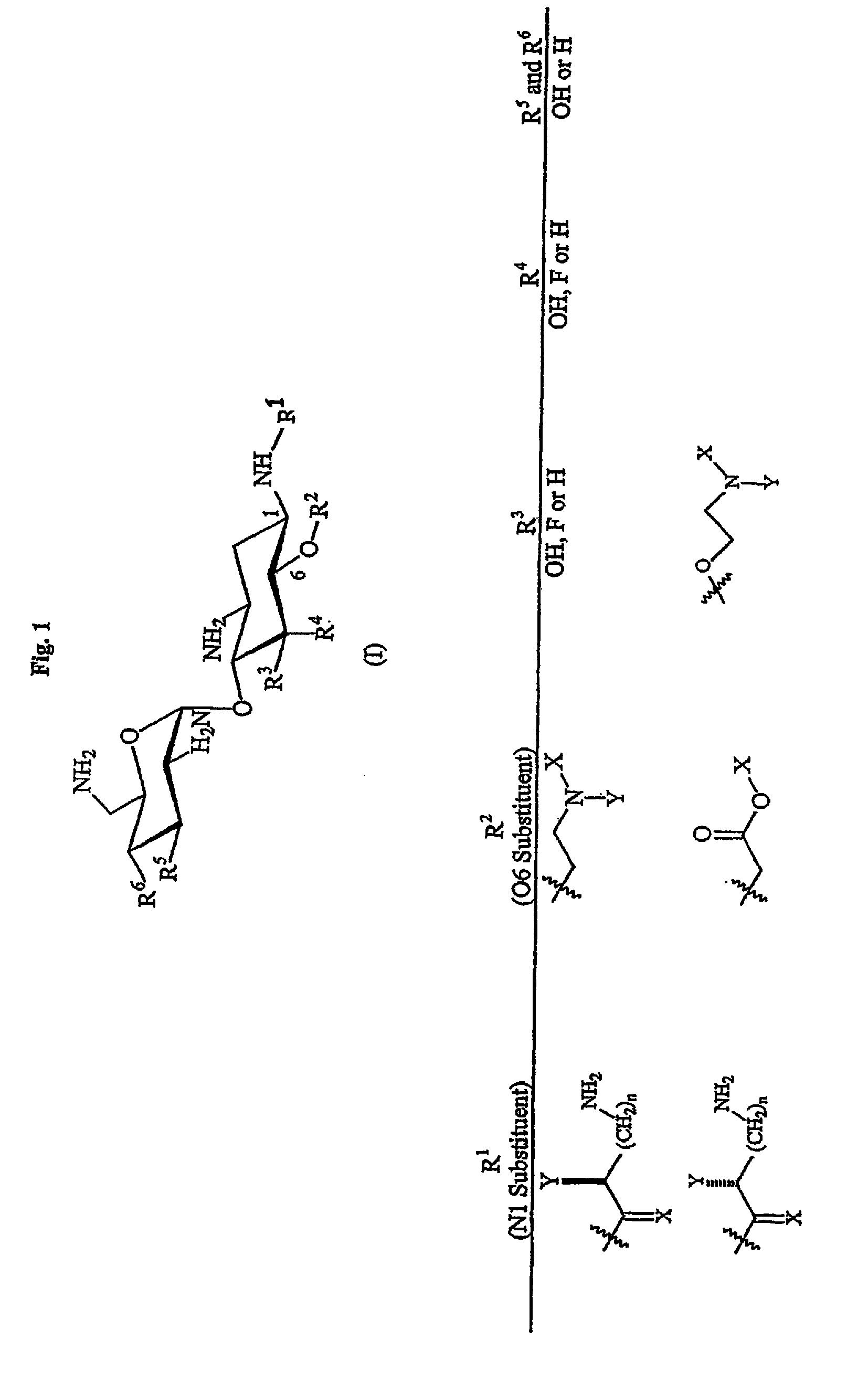 Aminoglycosides as antibiotics