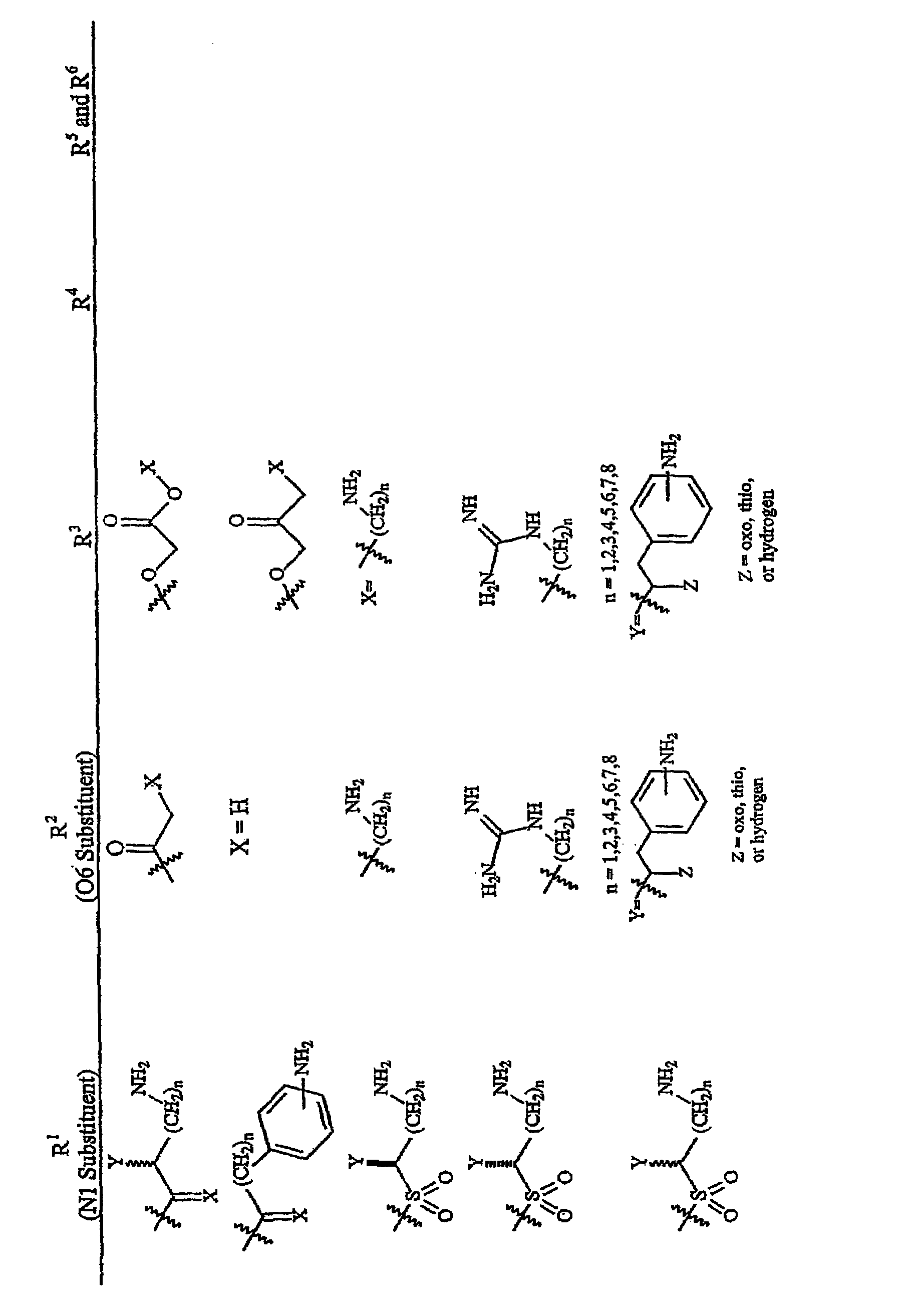 Aminoglycosides as antibiotics