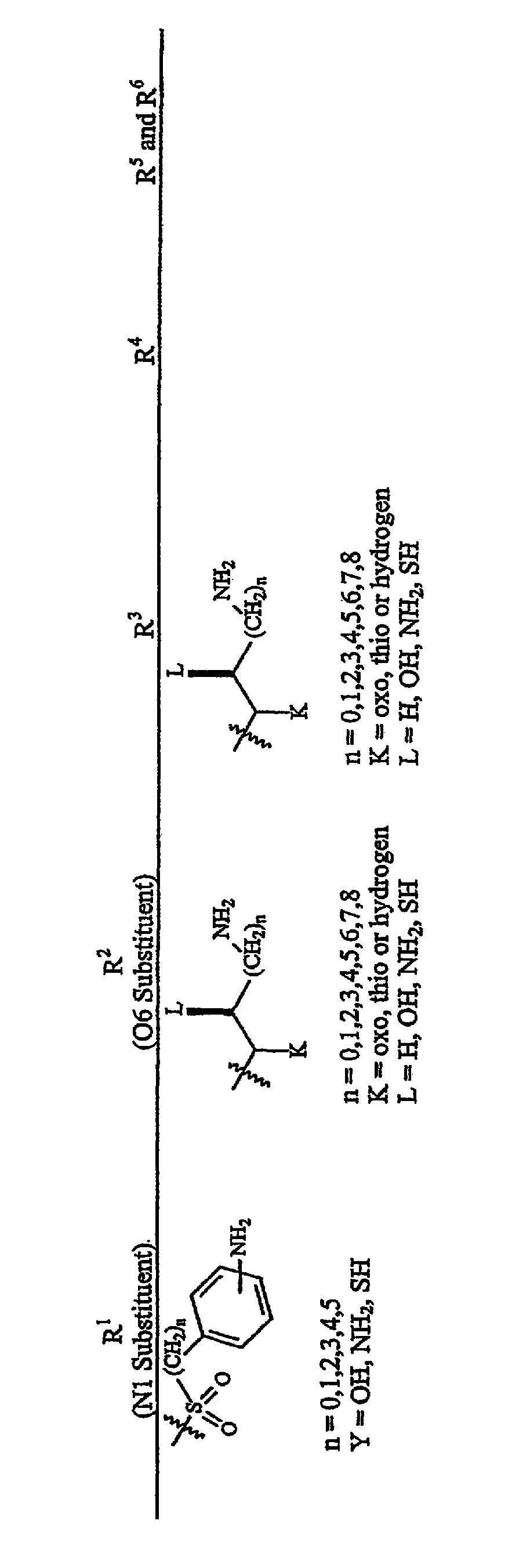 Aminoglycosides as antibiotics