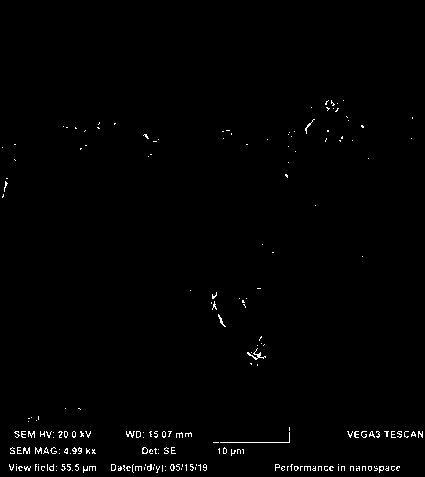 Large-size double-continuous porous foam bismuth and preparation method thereof