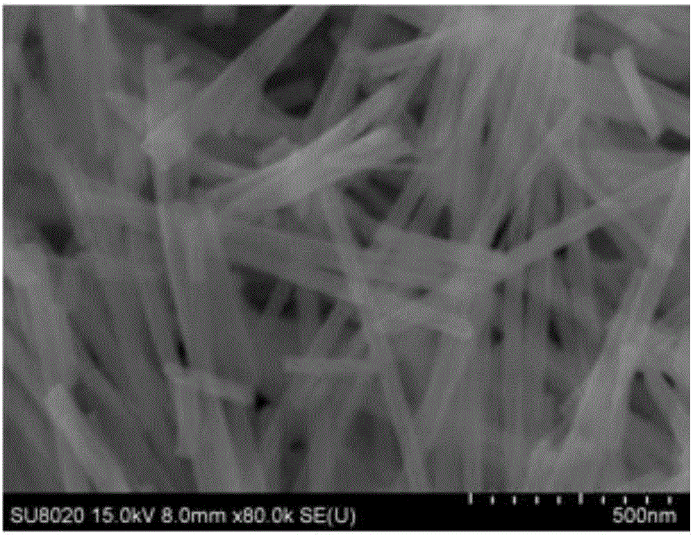 TiN/TiO2 three-dimensional nanowire array with core shell structure and preparation method thereof