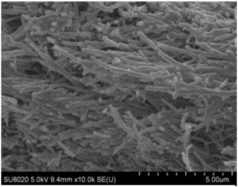 TiN/TiO2 three-dimensional nanowire array with core shell structure and preparation method thereof