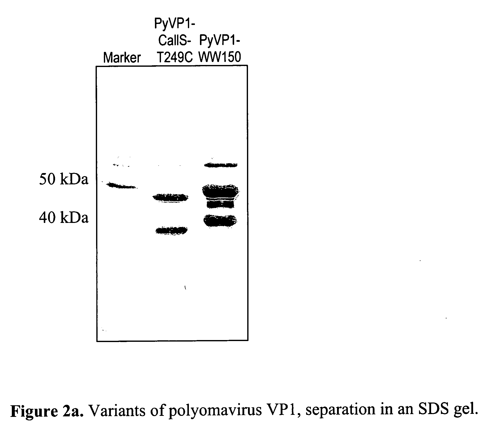 Method for linking molecular substances