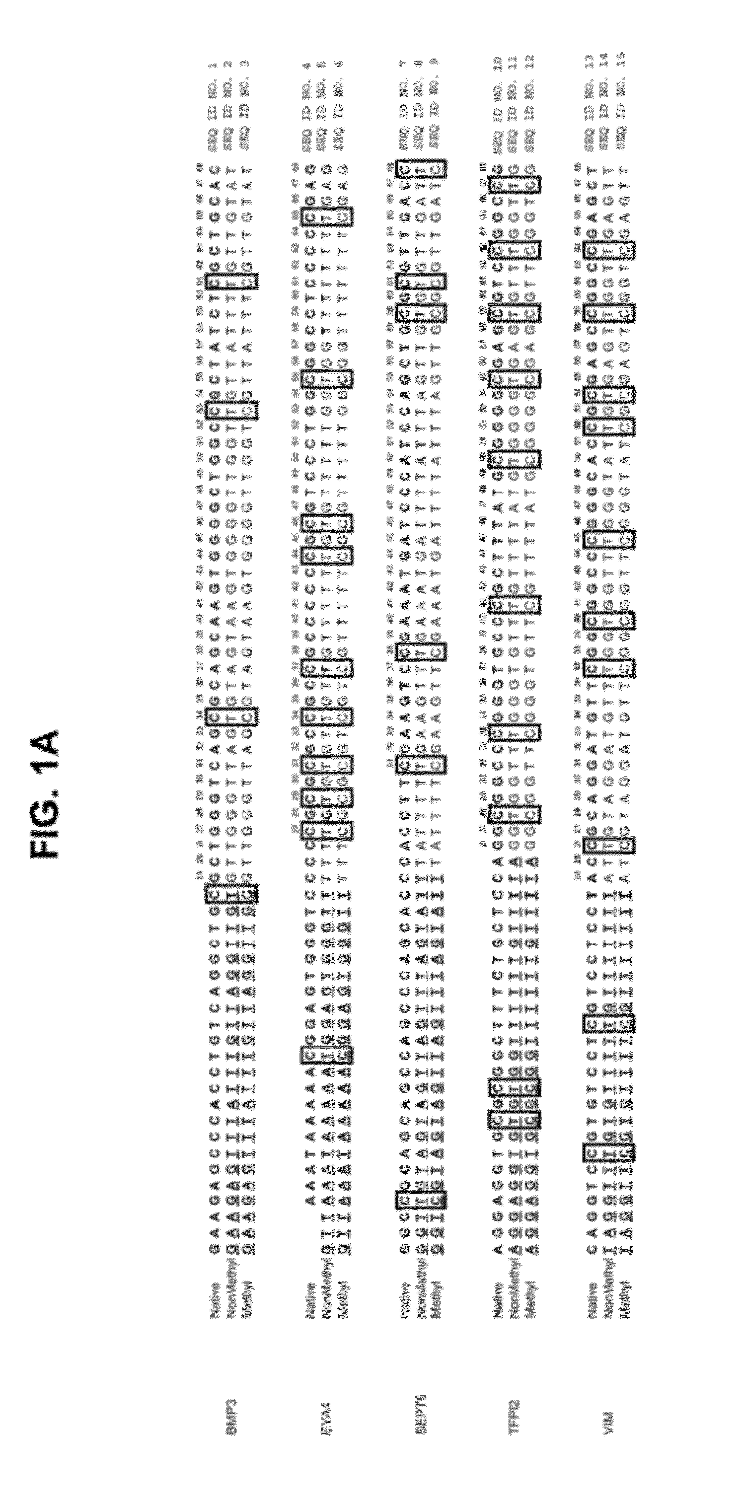 Digital sequence analysis of DNA methylation