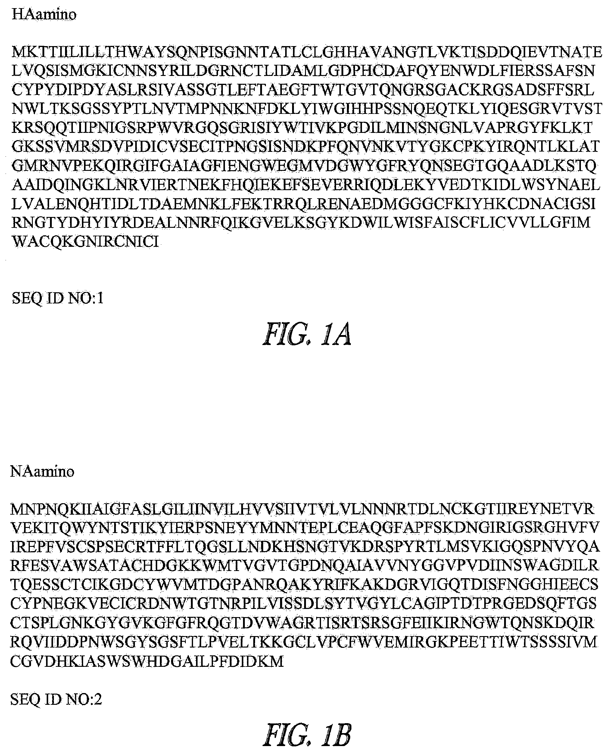 H3 equine influenza A virus