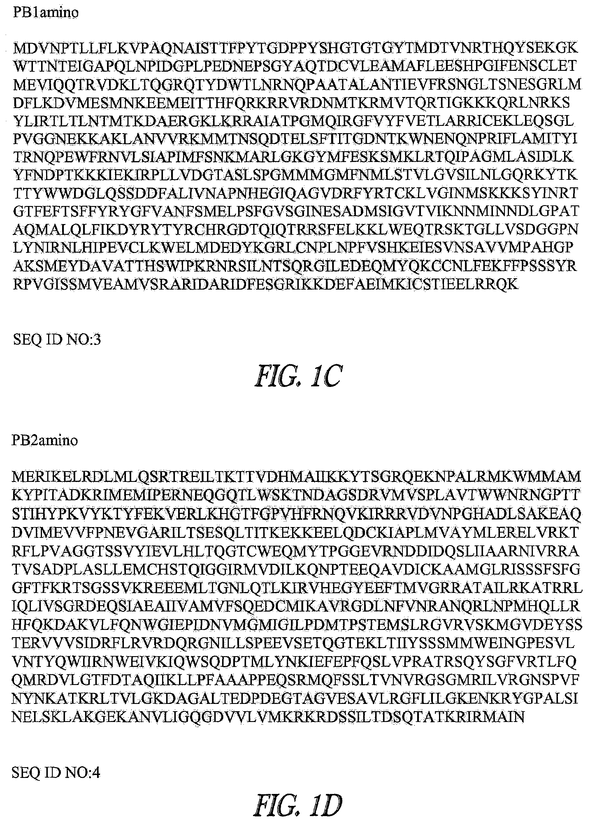 H3 equine influenza A virus