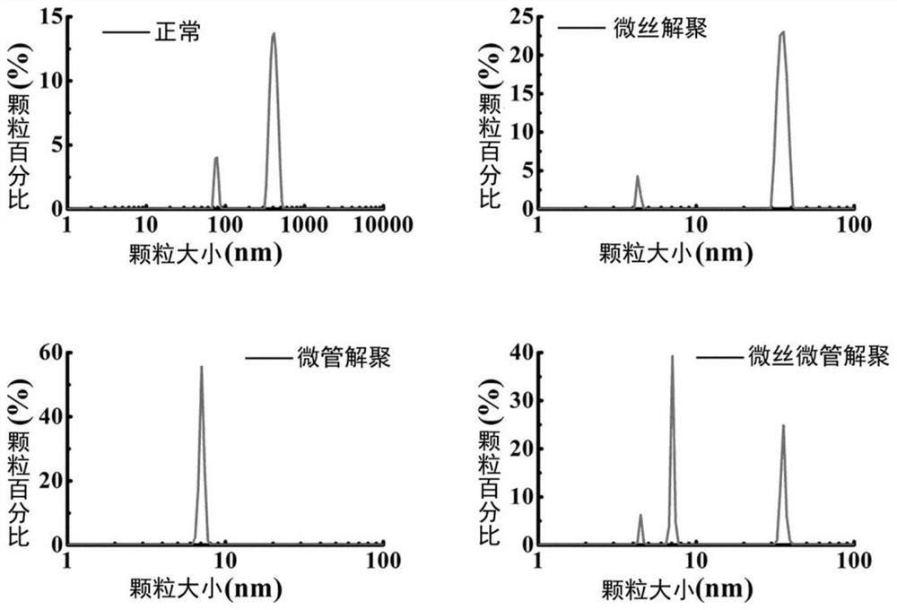 Construction and application of optical detection method of biological macromolecules related to intracellular colloid osmotic pressure and related drug screening method