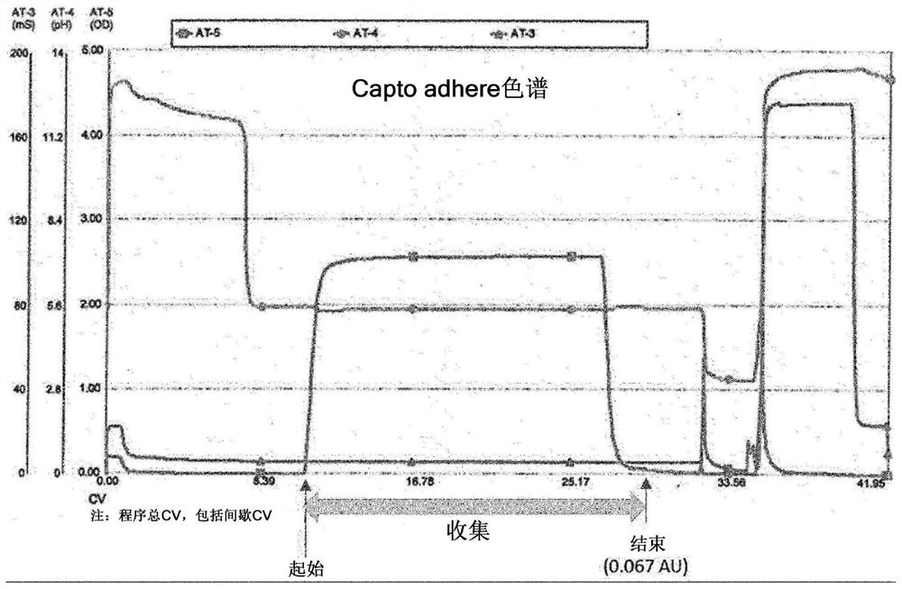 Refining method of ophthalmic protein medicine