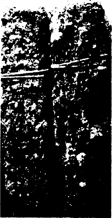 High sulfide resistant cement demixture and preparation thereof