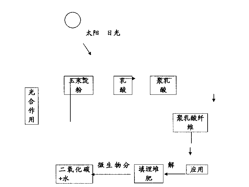 Non-woven made of corn fibers and production method thereof