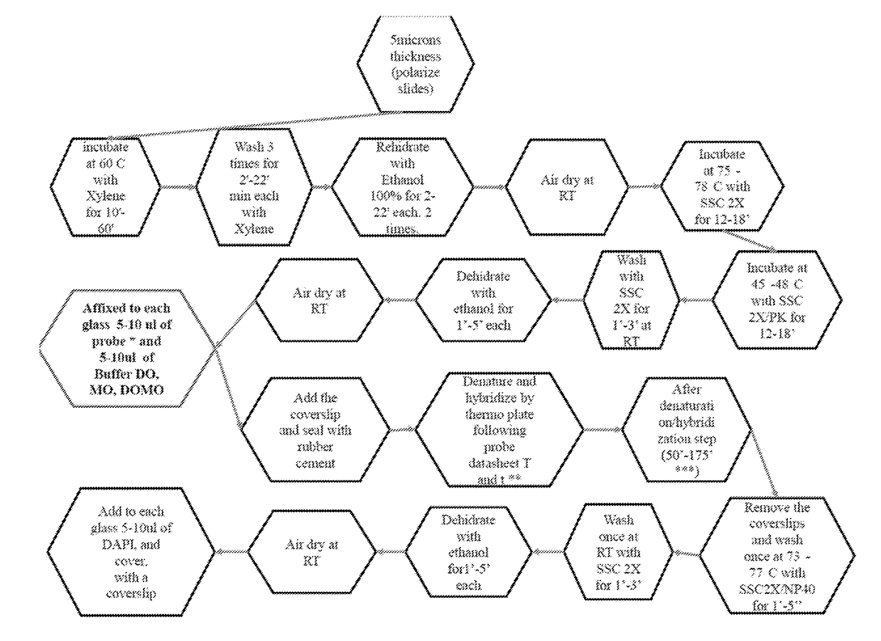 Additive for accelerating hybridization