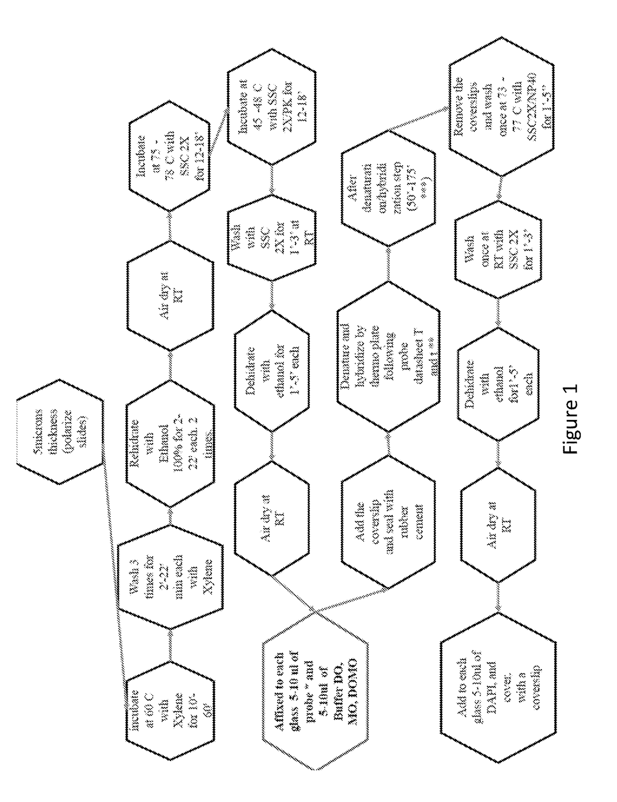 Additive for accelerating hybridization