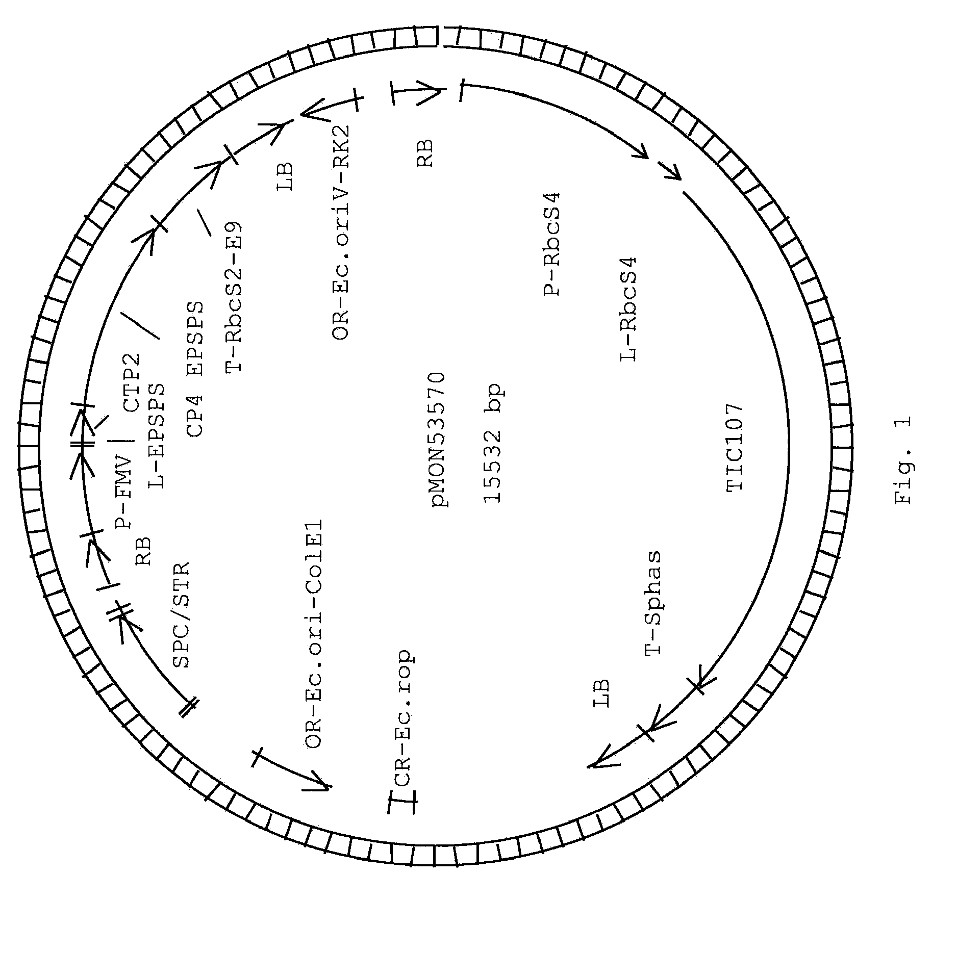 Soybean Plant And Seed Corresponding To Transgenic Event MON87701 And Methods For Detection Thereof